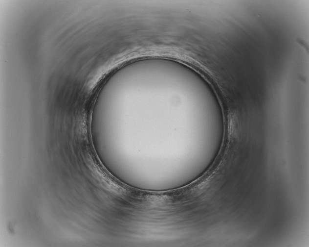 X0000100841498200806201138