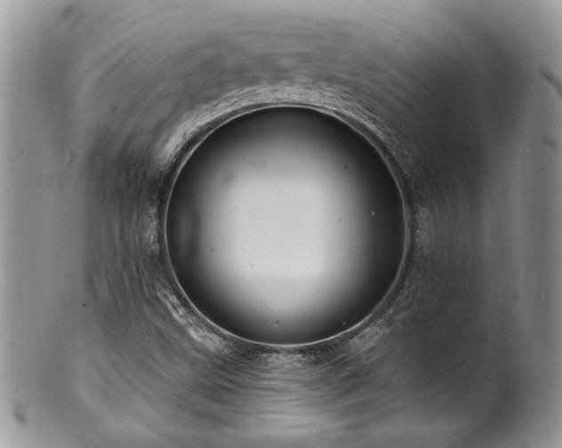 X0000100841499200806201138