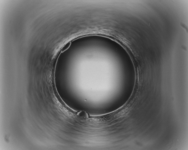 X0000100841500200806201138