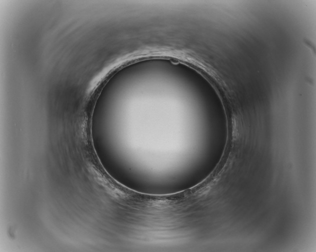 X0000100841502200806201138