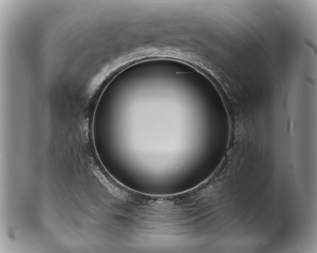 X0000100841503200806201138