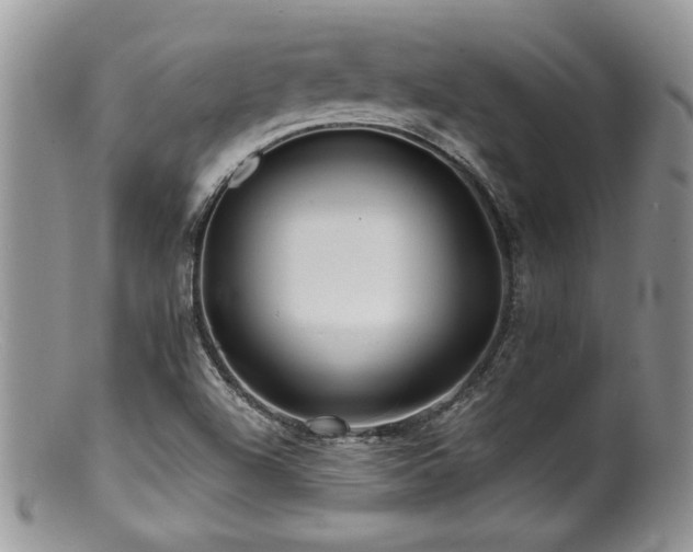 X0000100841504200806201138