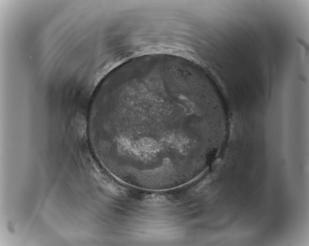 X0000100841505200806201138