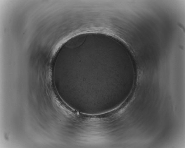 X0000100841506200806201138