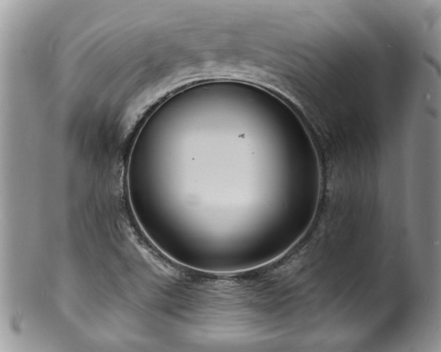 X0000100841507200806201138