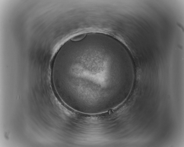 X0000100841508200806201138