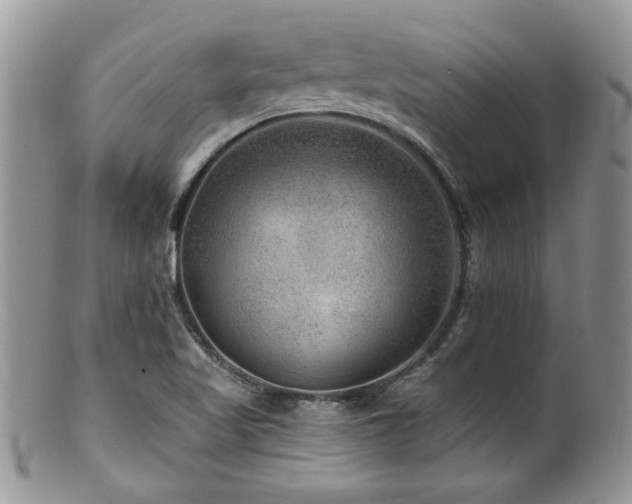 X0000100841509200806201138