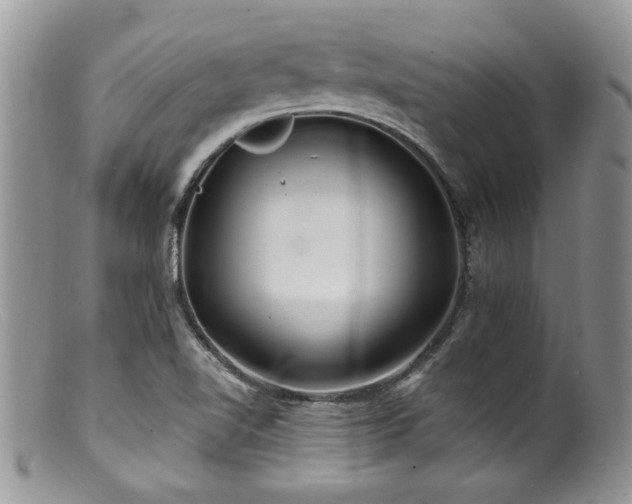 X0000100841510200806201138