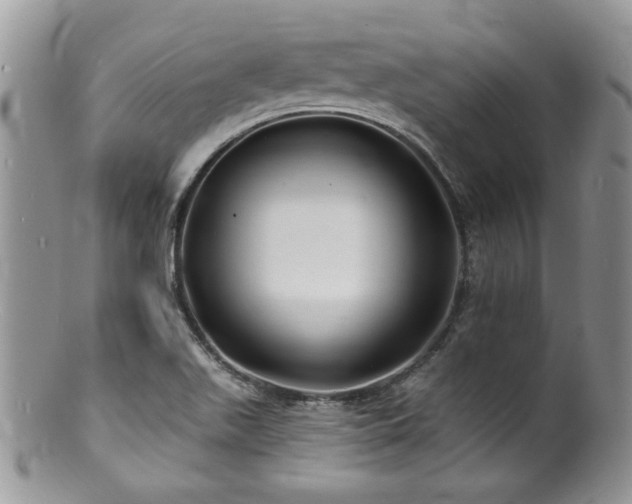 X0000100841511200806201138