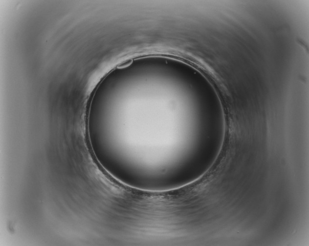 X0000100841512200806201138