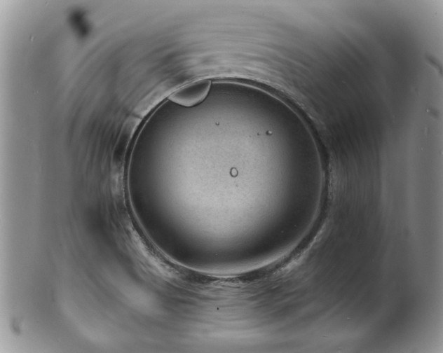 X0000100841513200806201138