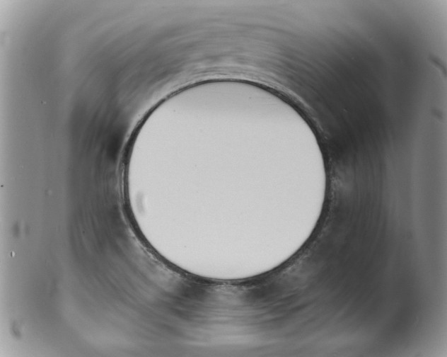 X0000100841514200806201138