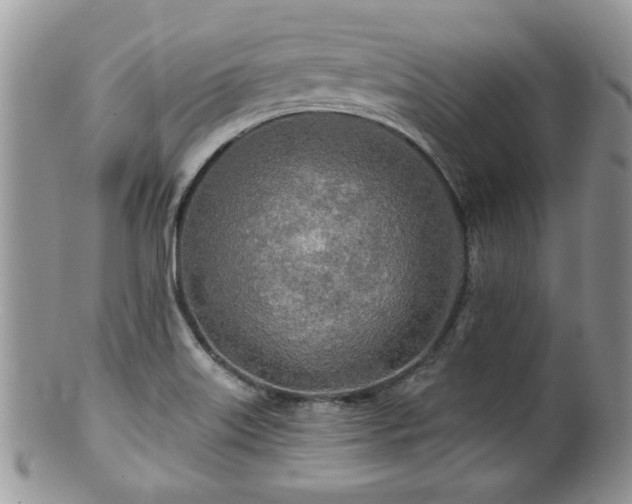 X0000100841515200806201138