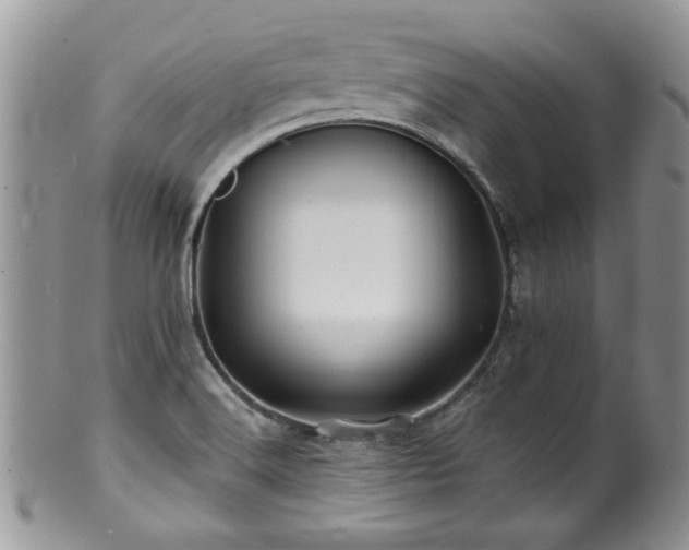 X0000100841516200806201138