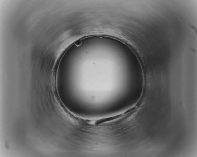 X0000100841517200806201138