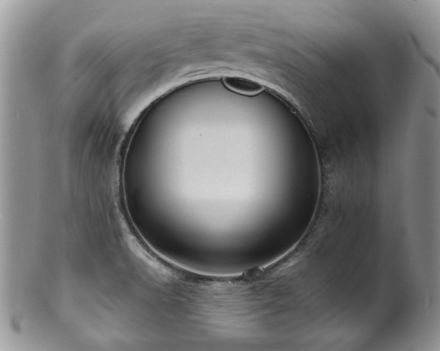 X0000100841518200806201138