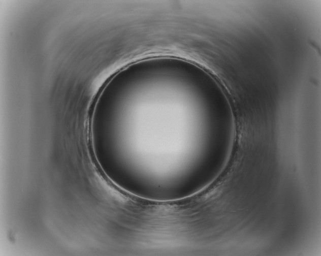 X0000100841519200806201138