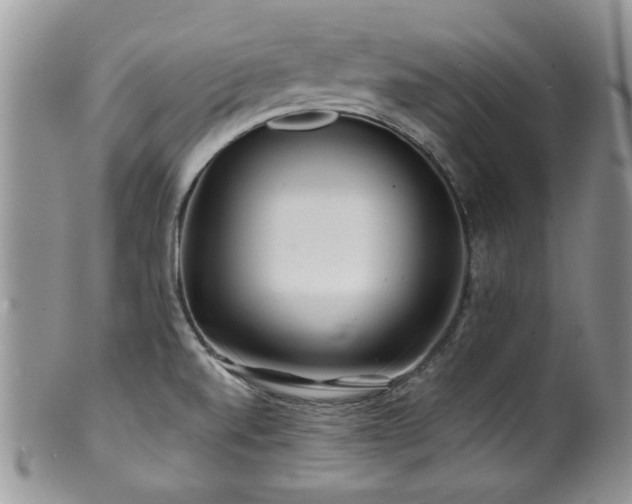 X0000100841520200806201138