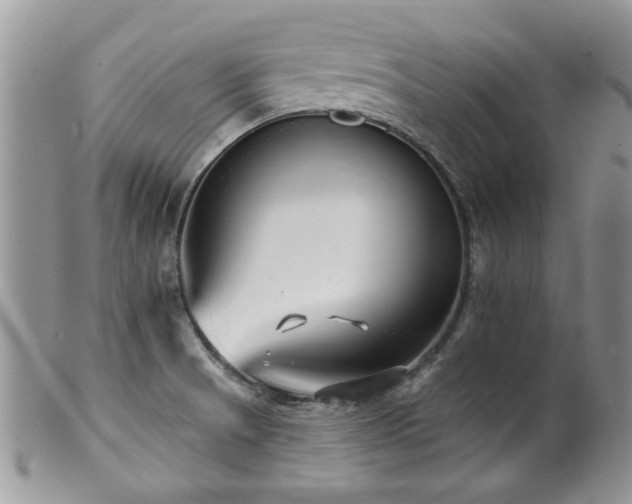 X0000100841521200806201138