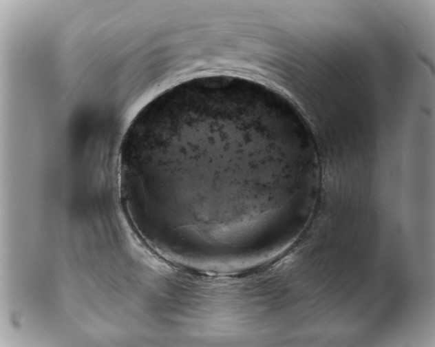 X0000100841522200806201138