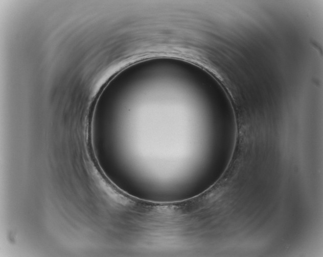 X0000100841523200806201138