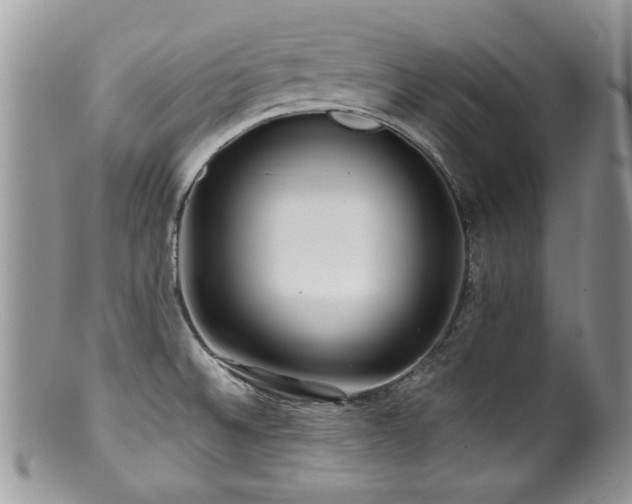 X0000100841524200806201138