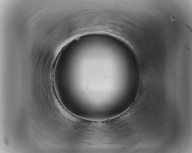 X0000100841526200806201138