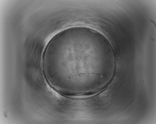 X0000100841527200806201139