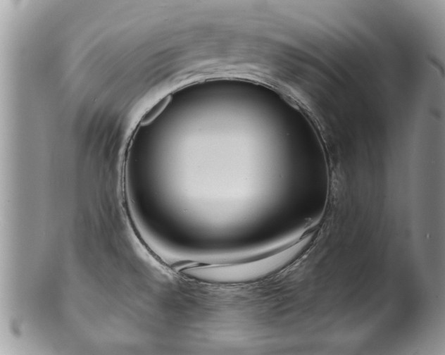 X0000100841528200806201139