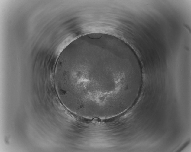 X0000100841529200806201139