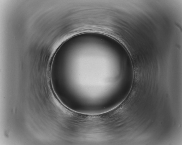 X0000100841531200806201139