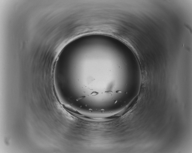 X0000100841532200806201139