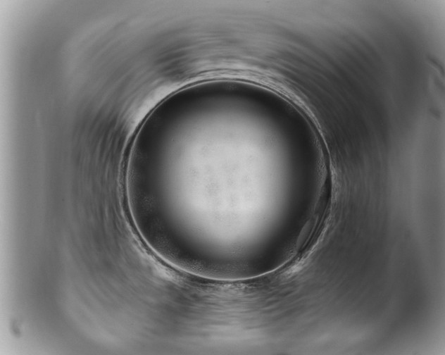 X0000100841533200806201139