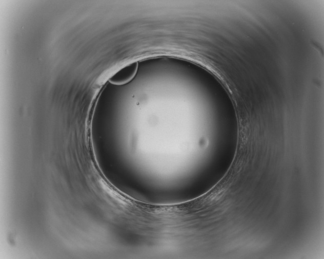 X0000100841535200806201139