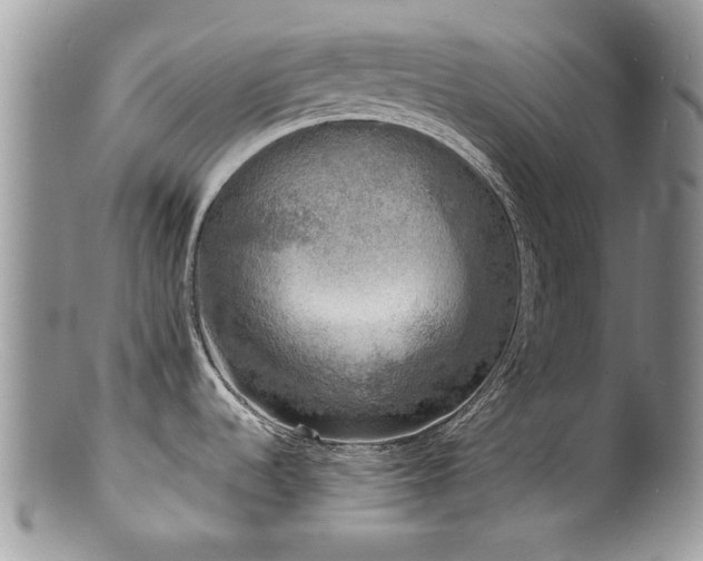 X0000100841536200806201139