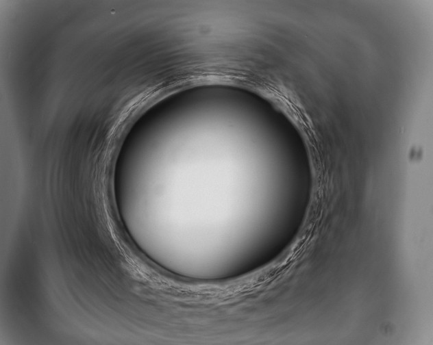 X0000100840001200806271123