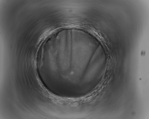 X0000100840002200806271123