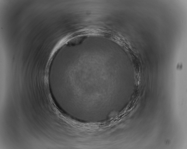 X0000100840004200806271123