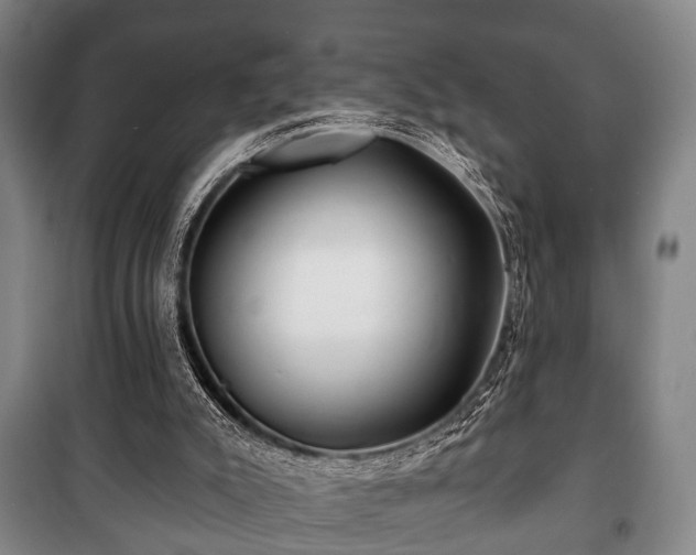 X0000100840007200806271123