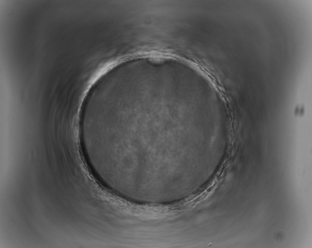 X0000100840008200806271123