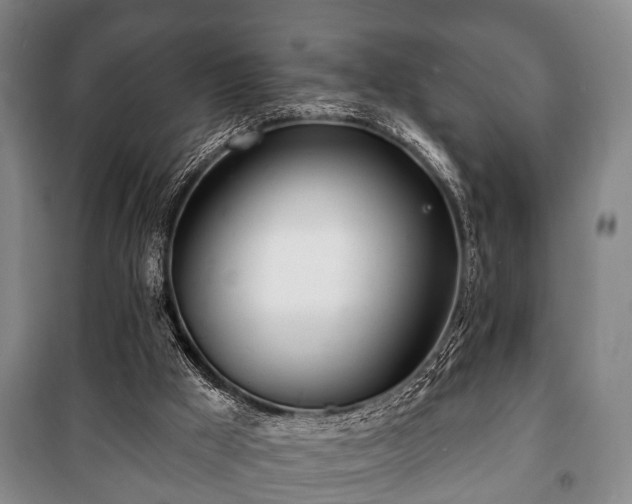 X0000100840009200806271123