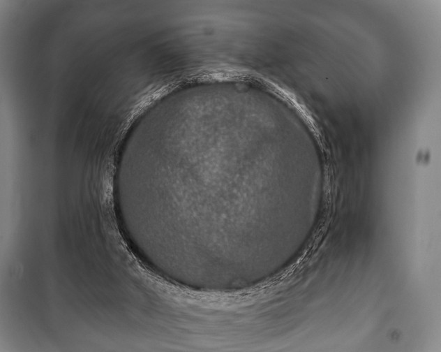 X0000100840010200806271123