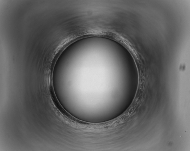 X0000100840011200806271123