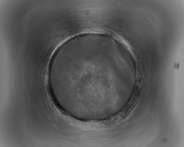 X0000100840012200806271123