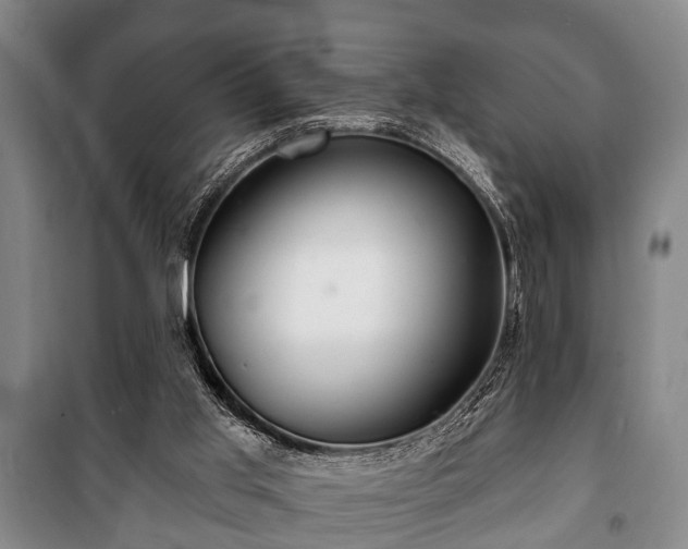 X0000100840013200806271123