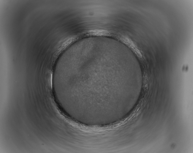 X0000100840014200806271123