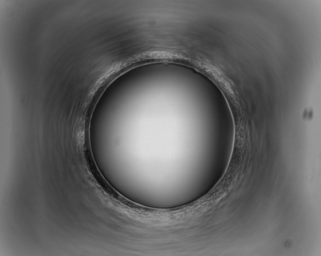 X0000100840015200806271123