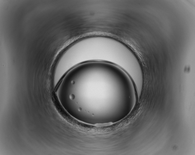 X0000100840016200806271123