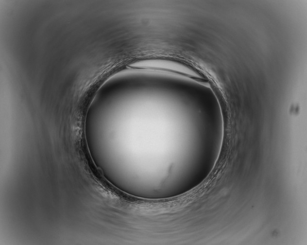 X0000100840017200806271123