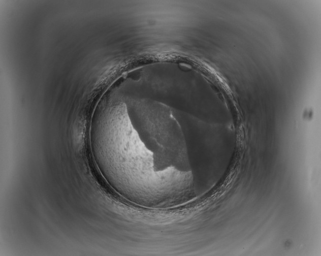 X0000100840018200806271123